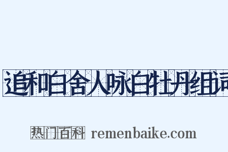 追和白舍人咏白牡丹组词是什么意思的图片